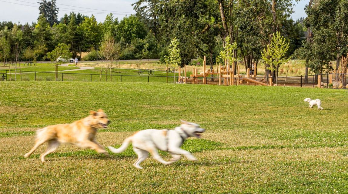 Dog parks in Salem, Oregon