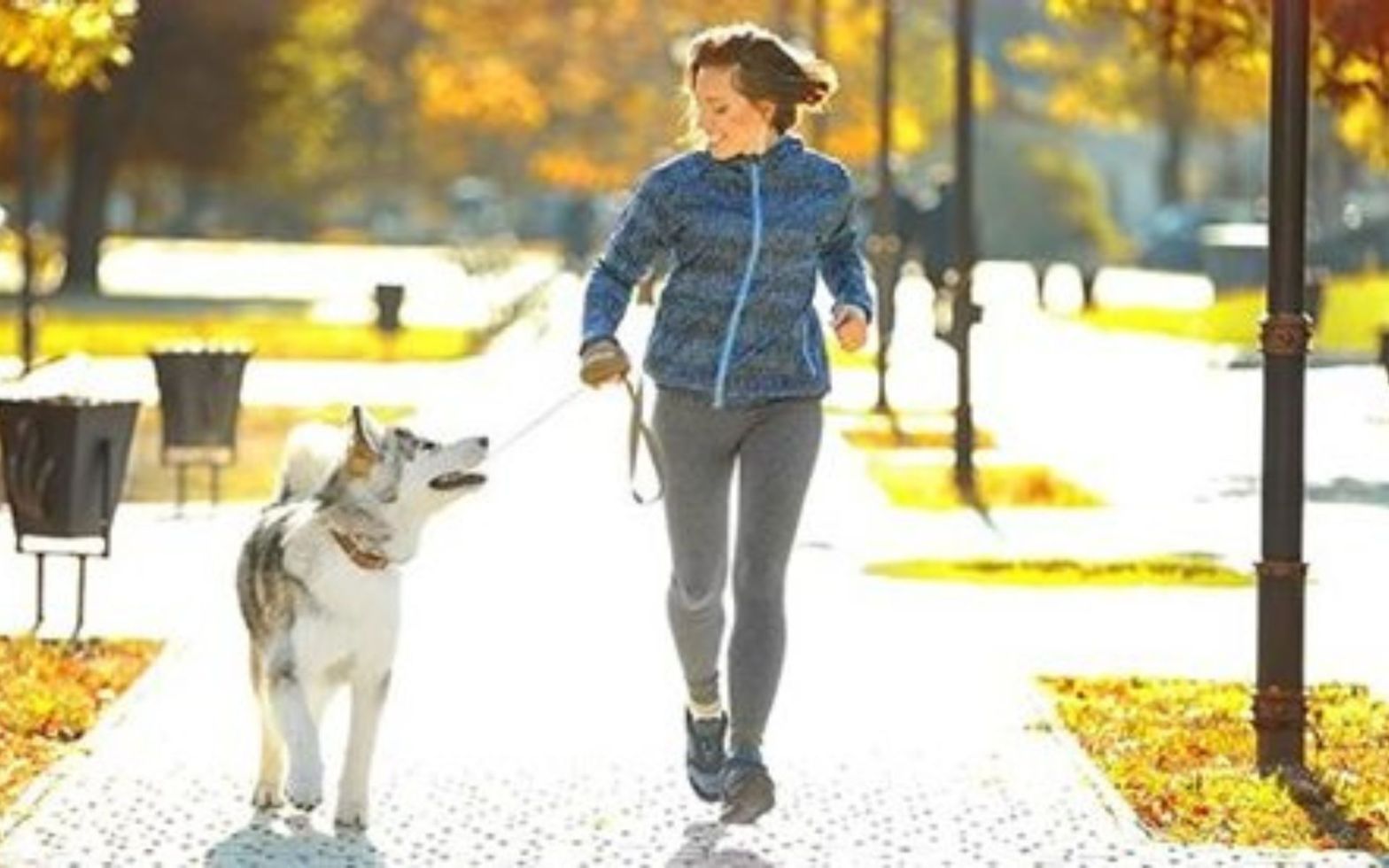 Salem In-Home Dog Training