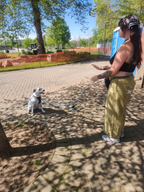 Professional dog distraction training session in Salem, Oregon at River Front Park with Smart Dog Pet Training